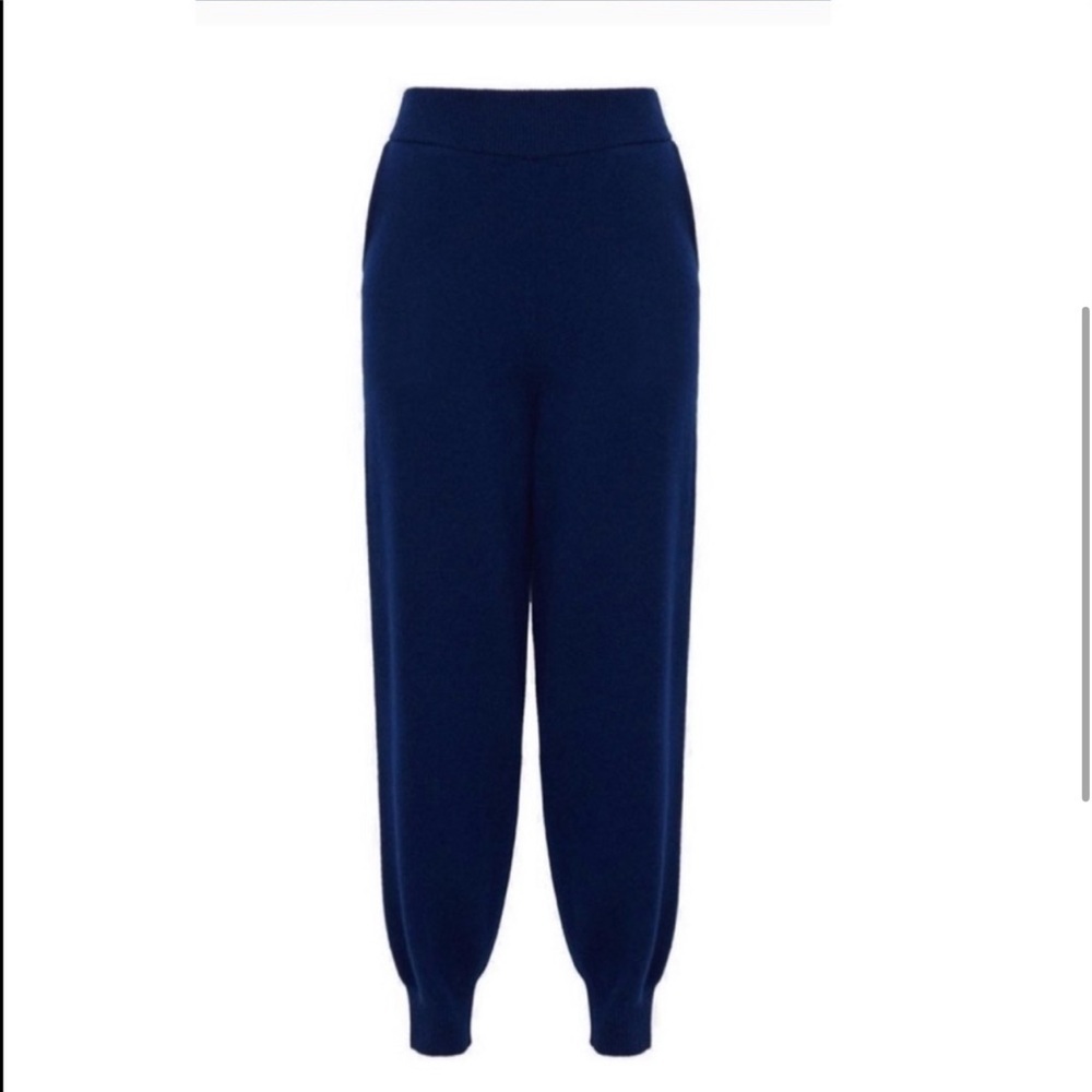 Theory Wool/Cashmere Relaxed Track Pants in Navy- Medium. - Picture 4 of 8